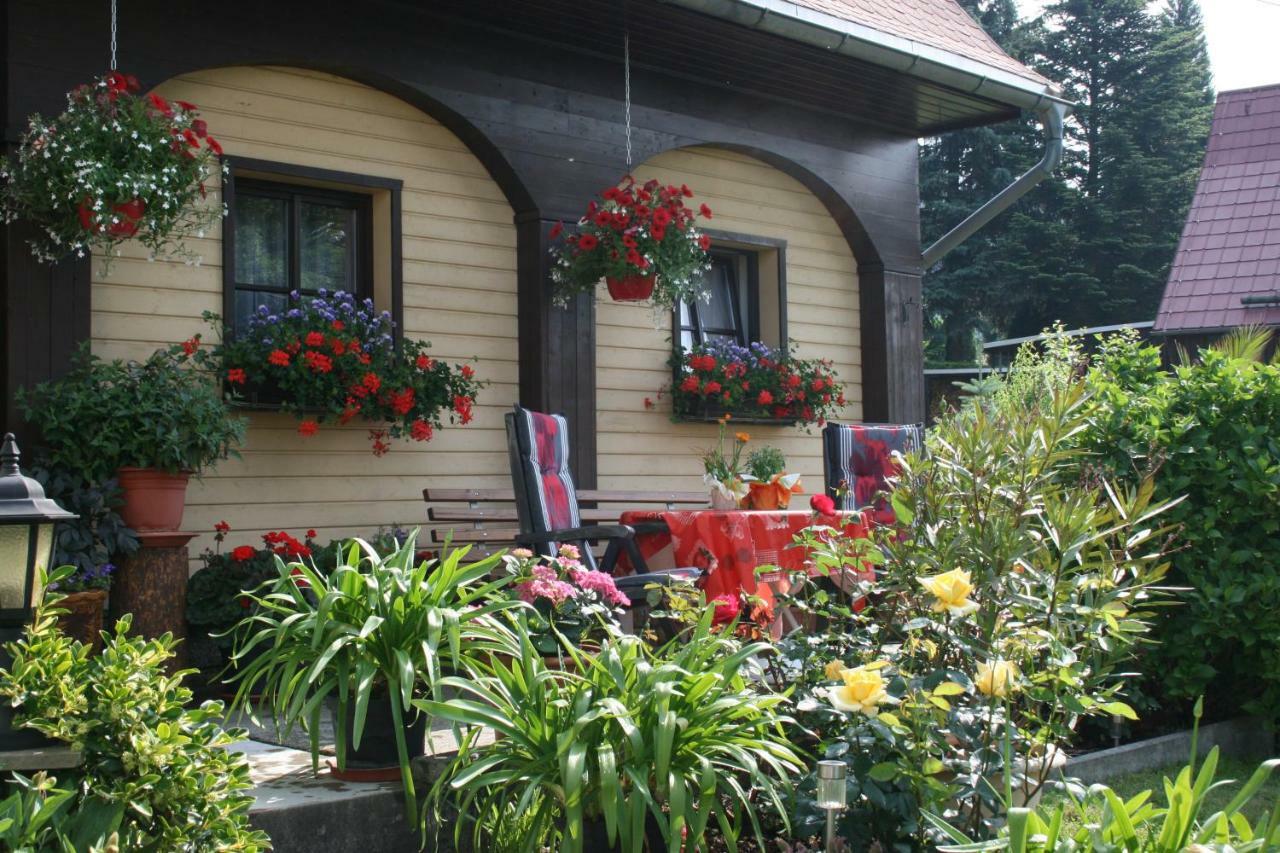 Ferienwohnung Hesse Am Wachberg Saupsdorf Exterior photo
